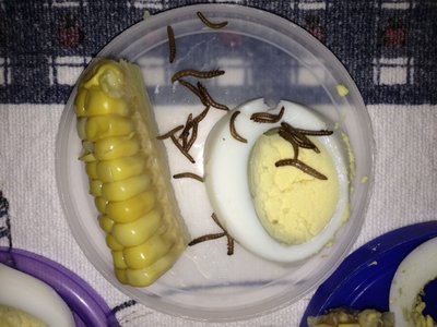 breakfast.jpg