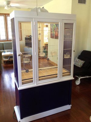 Backstage. I added a lot more cage doors for food and breeding box access, and modified the back of the cabinets so the two side doors open out and towards the middle. Again, this indoor aviary is illuminated with dimmable LED lighting.