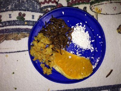 breakfast 5.jpg