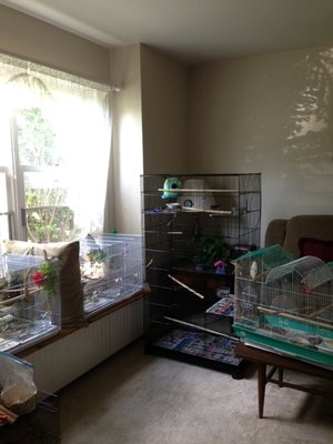 flight cages.jpg