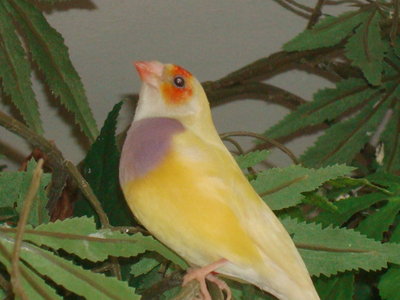 DSC05039.JPG