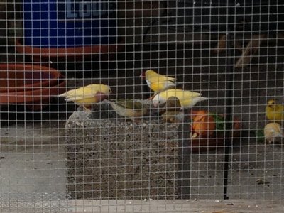 IMG_0629.JPG