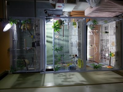 20130605_090037.jpg