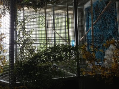 photo (19).JPG