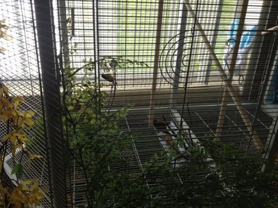 photo (17).JPG