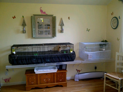 Bird Room 2.jpg