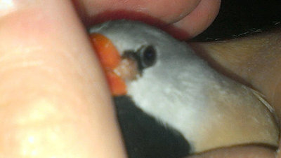 Juliet's Growth 1.jpg