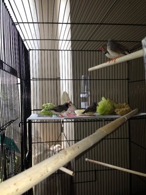 getting acquainted.JPG