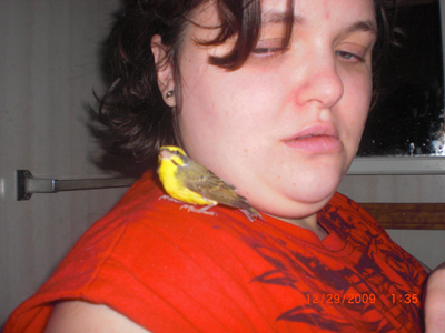 my finch