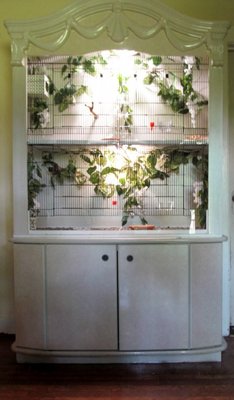 china cabinet2.jpg