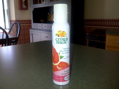 air freshener.jpg