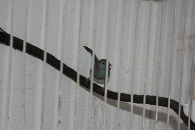 IMG_9448.JPG