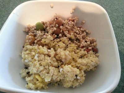 eggfood with soaked and sprouted seed & quinoa.jpg