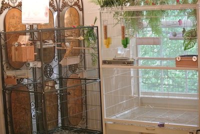 View of both cages together