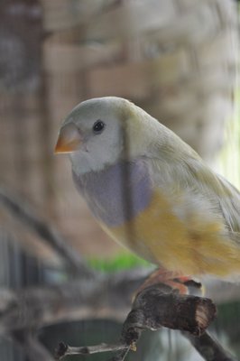 DSC_0655.jpg