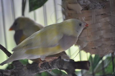 DSC_0648.JPG