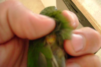 08242013 002.JPG