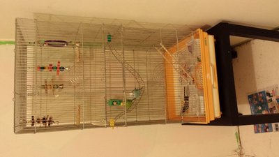 20130831_170222.jpg