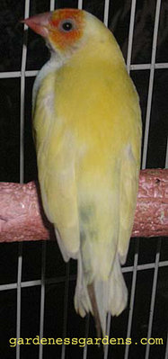 Solara112907f.jpg