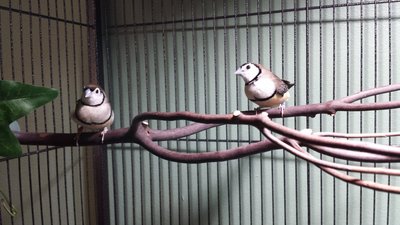 20130914_124250.jpg