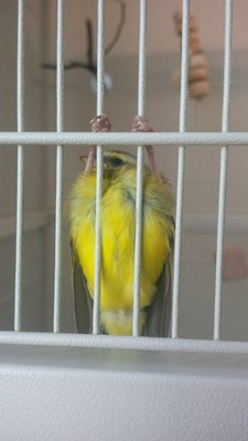 IMG_00000165.jpg