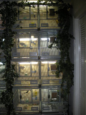 Quad stack with lights on back of cages