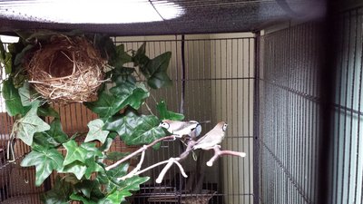 20130928_171305.jpg