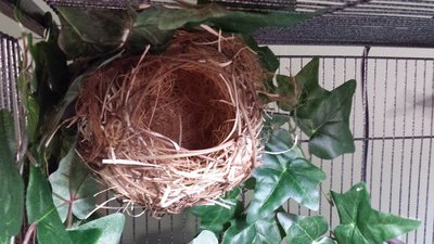 20130928_171212.jpg