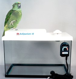 AVQ-2 brooder tops.jpg