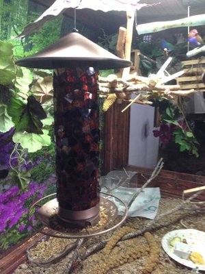 Bird Feeder.jpeg