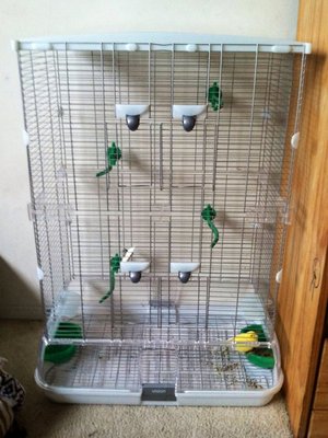 Fritz's bachelor pad