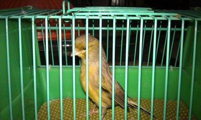 IMAG2456.jpg