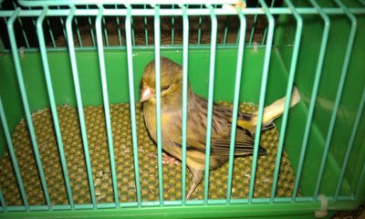 IMAG2458.jpg