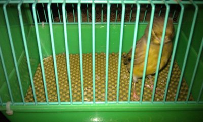 IMAG2457.jpg