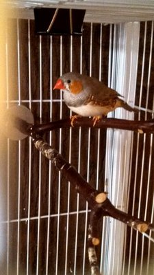 IMG_20131205_201716_464.jpg