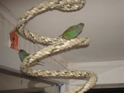 DSC05409.JPG