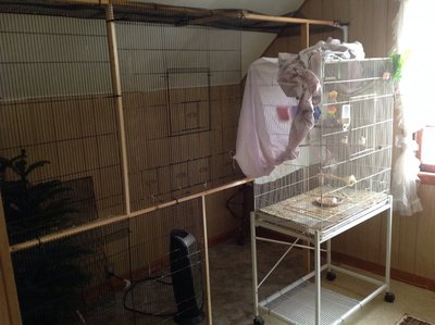 now the cage pieces
