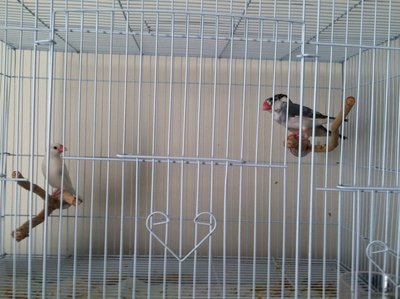 photo.JPG