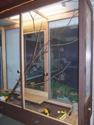 100_0010.JPG