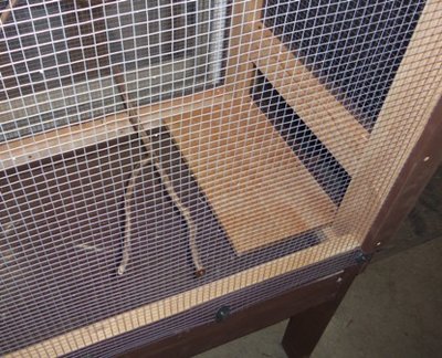 100_0018.JPG