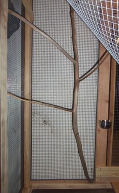 100_0020.JPG