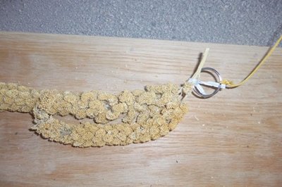 100_0025.JPG