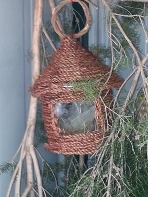 nest.jpg