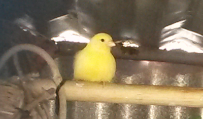 2014-02-02 08.33.21.png
