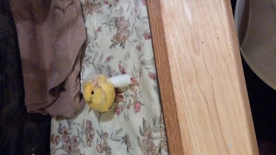 CAM01703.jpg