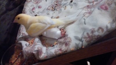 CAM01702.jpg