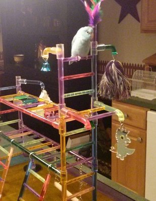 _20140223_201751.JPG