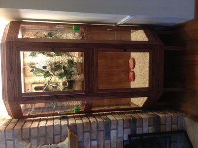 This is the flight cage I built last year.  It had a gouldian pair, a society pair and a beautiful canary named Paveratti.