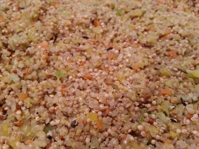 3-15 quinoa, squash, carrots, celery, roudybush pellets, seed and a sprinkle of Cal-D-Solve.jpg