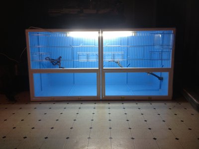 breeding cabinet.JPG
